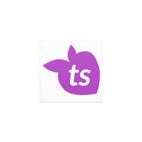 tsgabrielle® • Automagneten • Wit • One Sizes