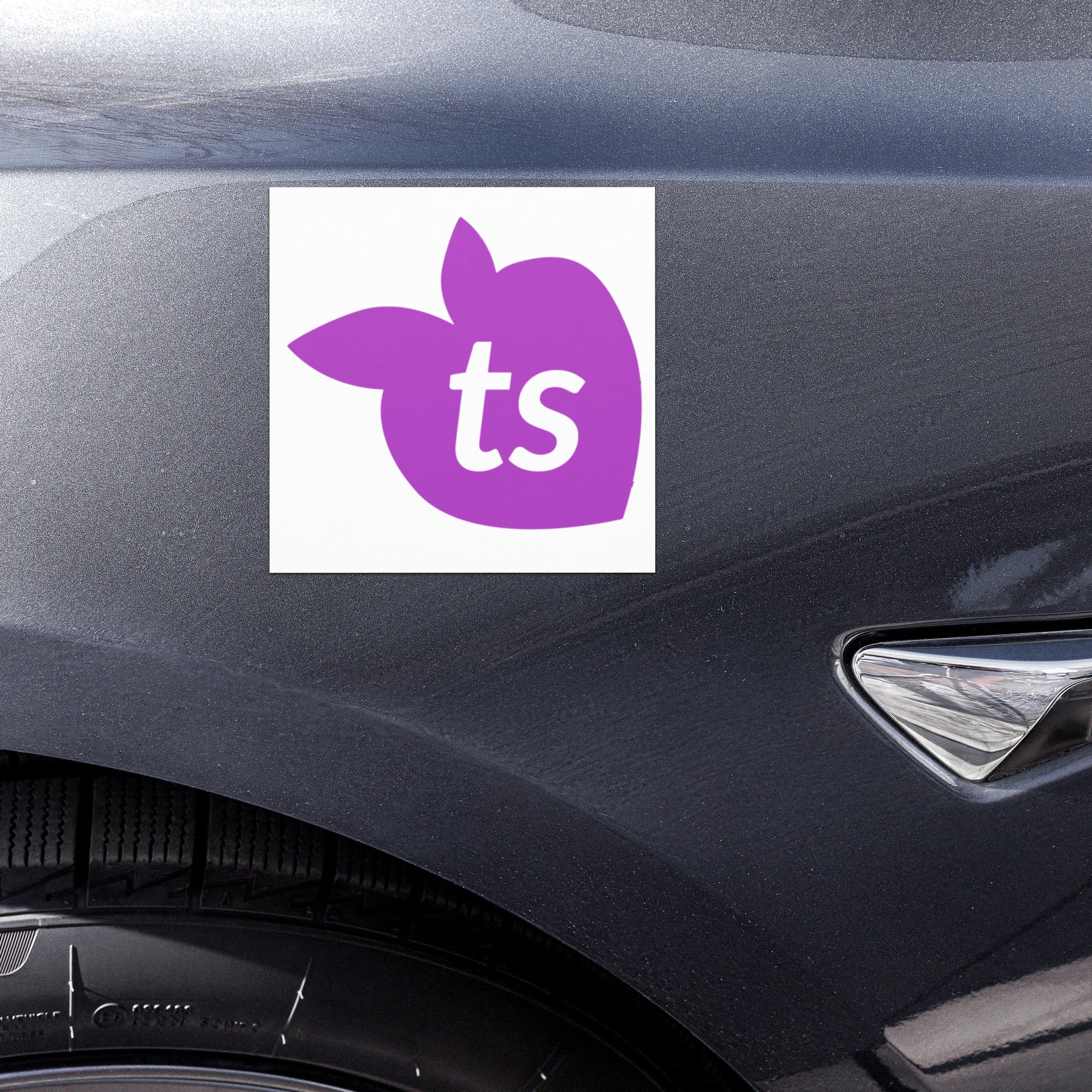 tsgabrielle® • Automagneten • Wit • One Sizes