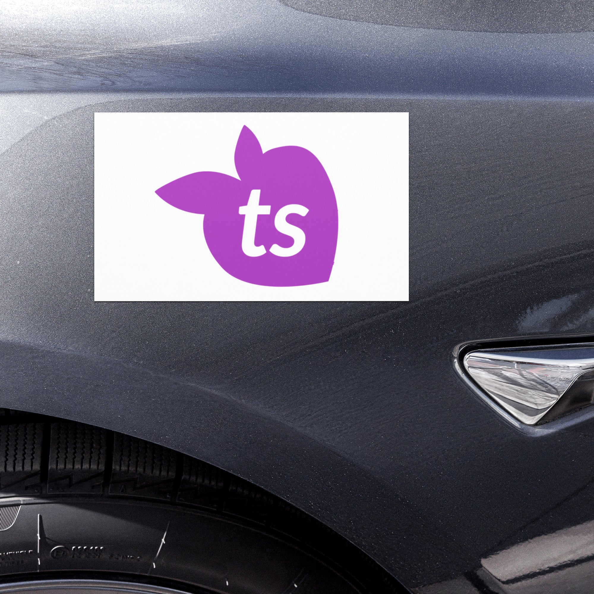 tsgabrielle® • Automagneten • Wit • One Sizes