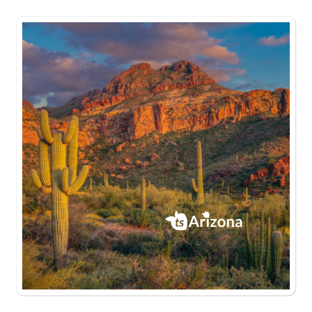 tsgabrielle® • Arizona - Tucson Mountain Range • Sticker Bubble-Frees • 3 Sizes